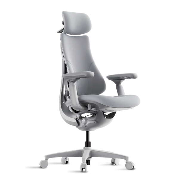 Кресло LiberNovo Omni Dynamic OC1 Space Grey, 45 см, глобальная версия, с подставкой под ноги